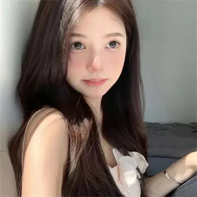 鸣鸿传